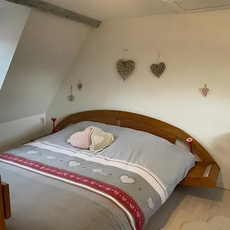 Apartment Aux Petits Coeurs De Colmar Petite Venise