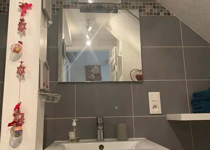 Aux Petits Coeurs De Petite Venise 公寓 科尔马